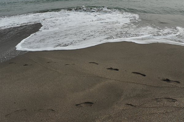 1110 kamakura7 DSC_8064.jpg